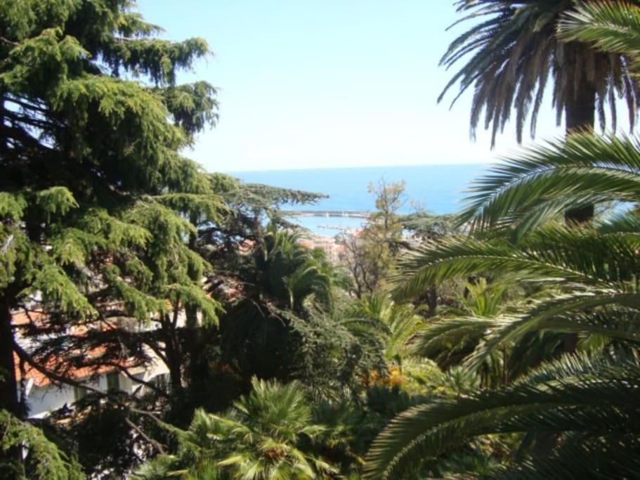 Mini Accommodation In Sanremo Liguria Buitenkant foto